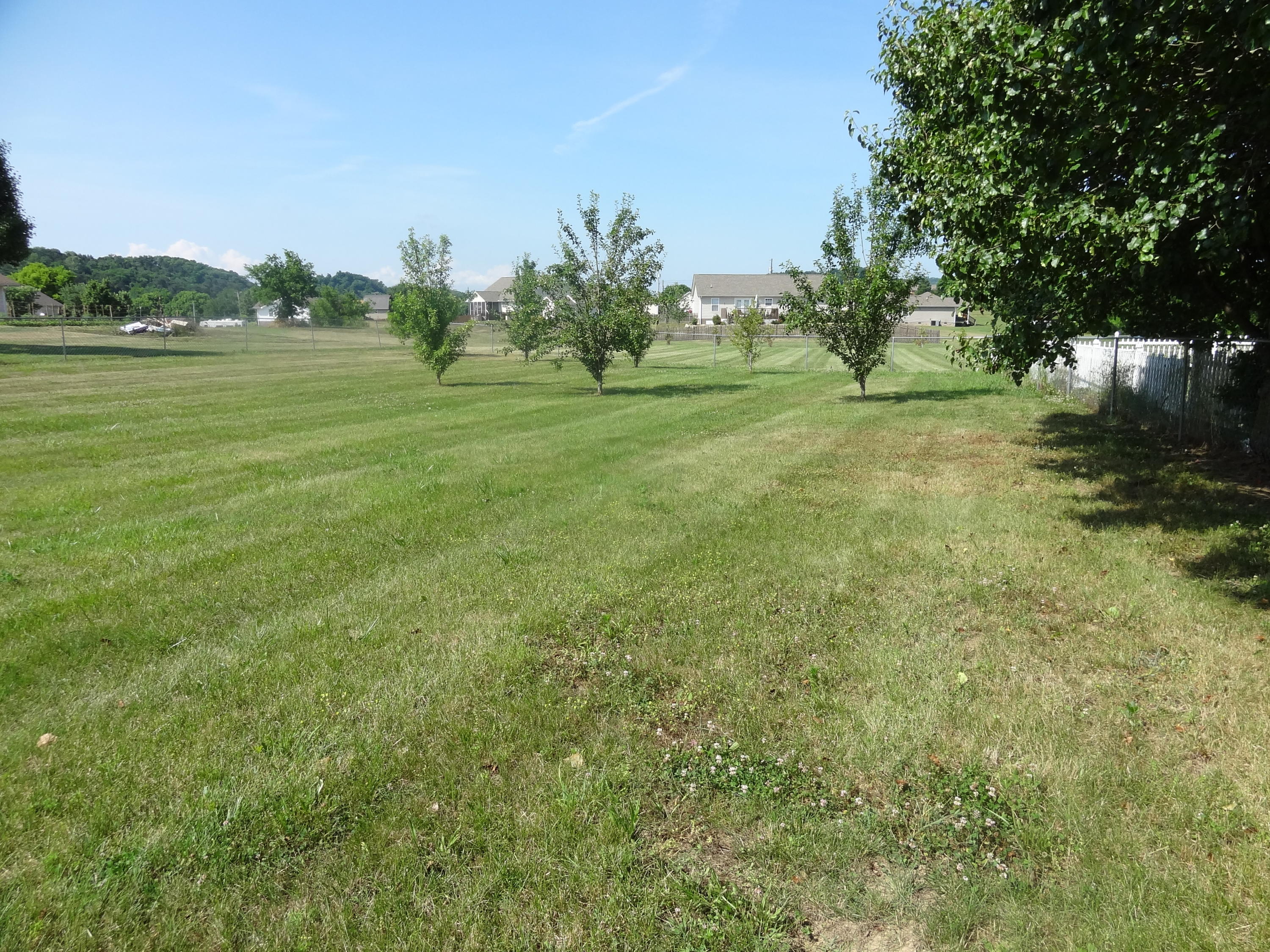 417 Coile Road Jefferson City, TN 37760 - Photo 22 of 29 Fruit Trees at back of property