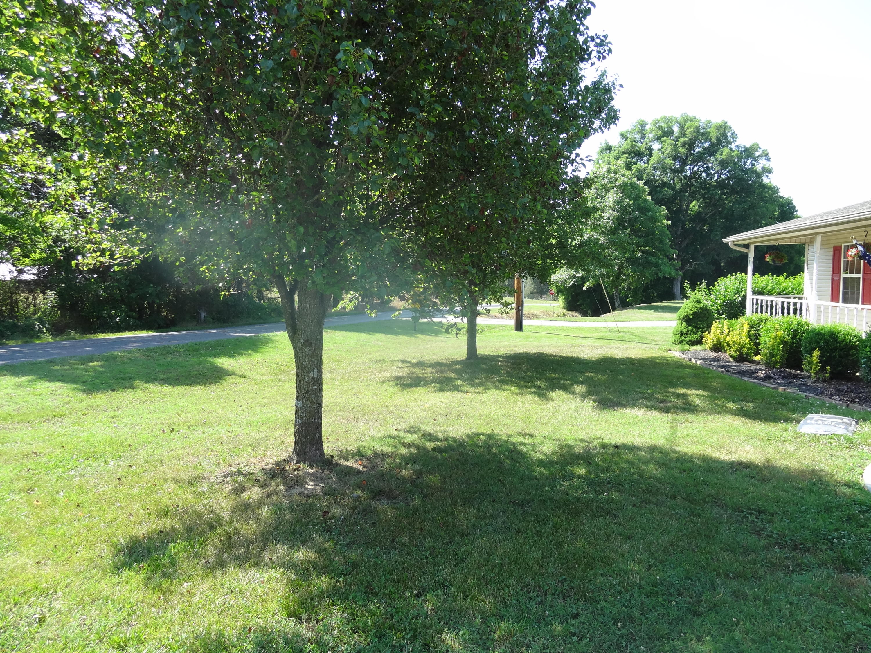 417 Coile Road Jefferson City, TN 37760 - Photo 24 of 29 Bradford pines with good size front yard