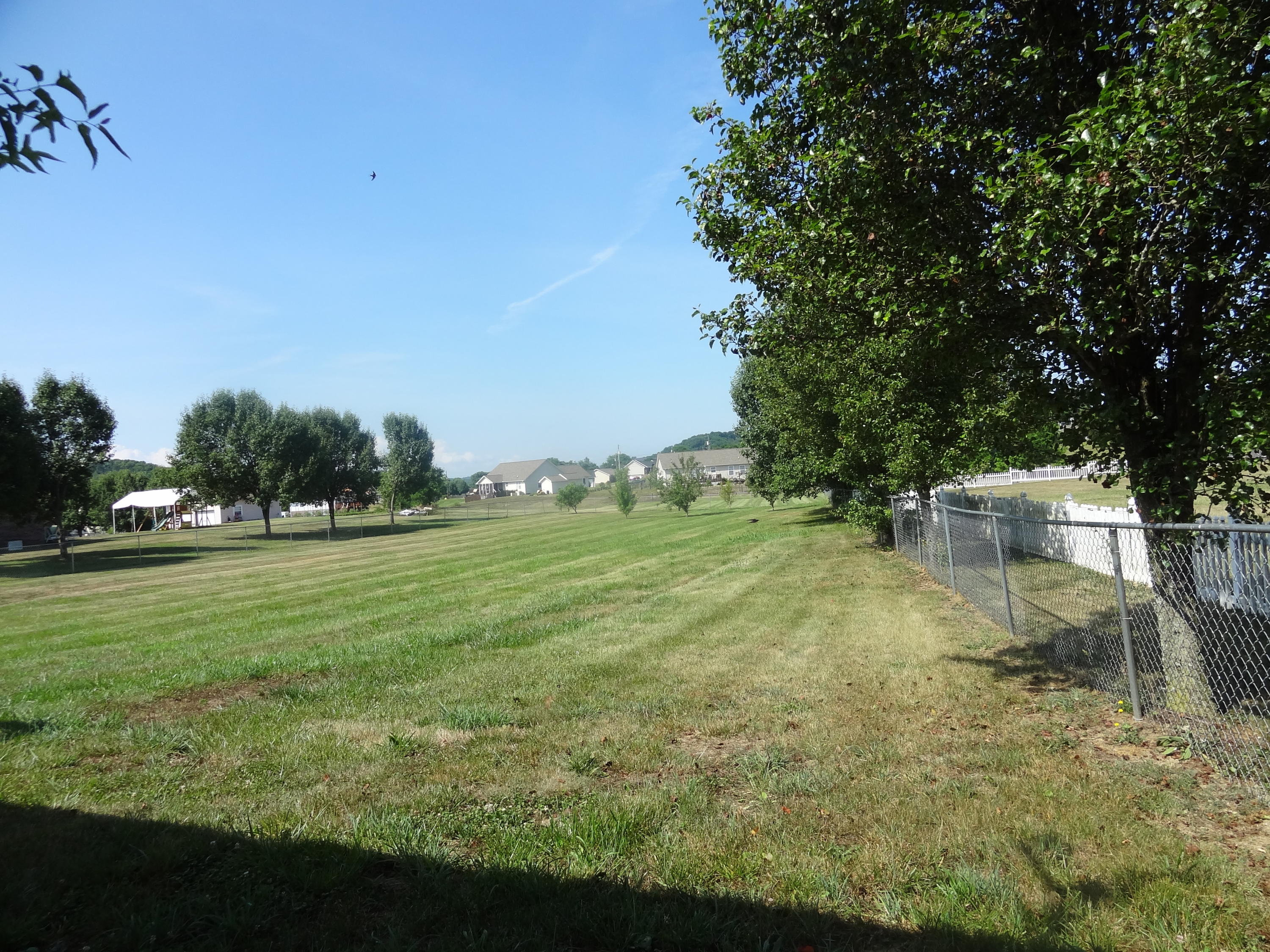 417 Coile Road Jefferson City, TN 37760 - Photo 28 of 29 View of back yard