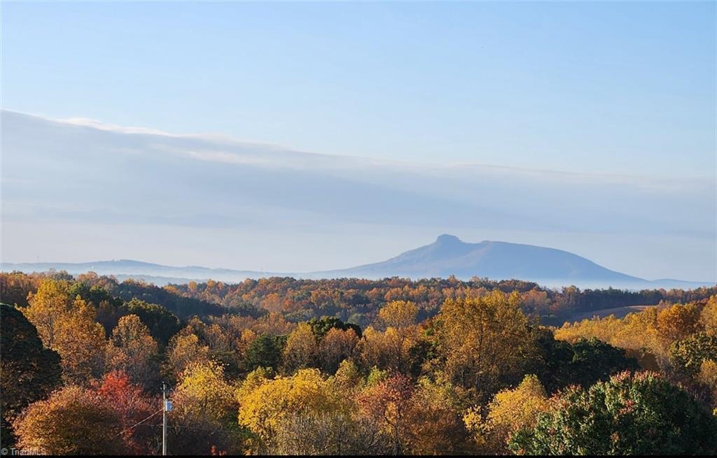 724-0 Tom Cook Road Mount Airy, NC 27030 - Photo 46 of 50 Fall View from Front Porch