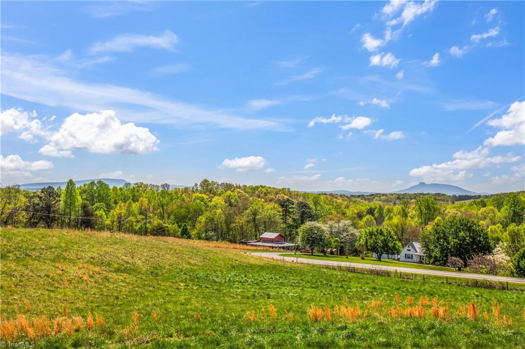 724-0 Tom Cook Road Mount Airy, NC 27030 - Photo 48 of 50 View from land.