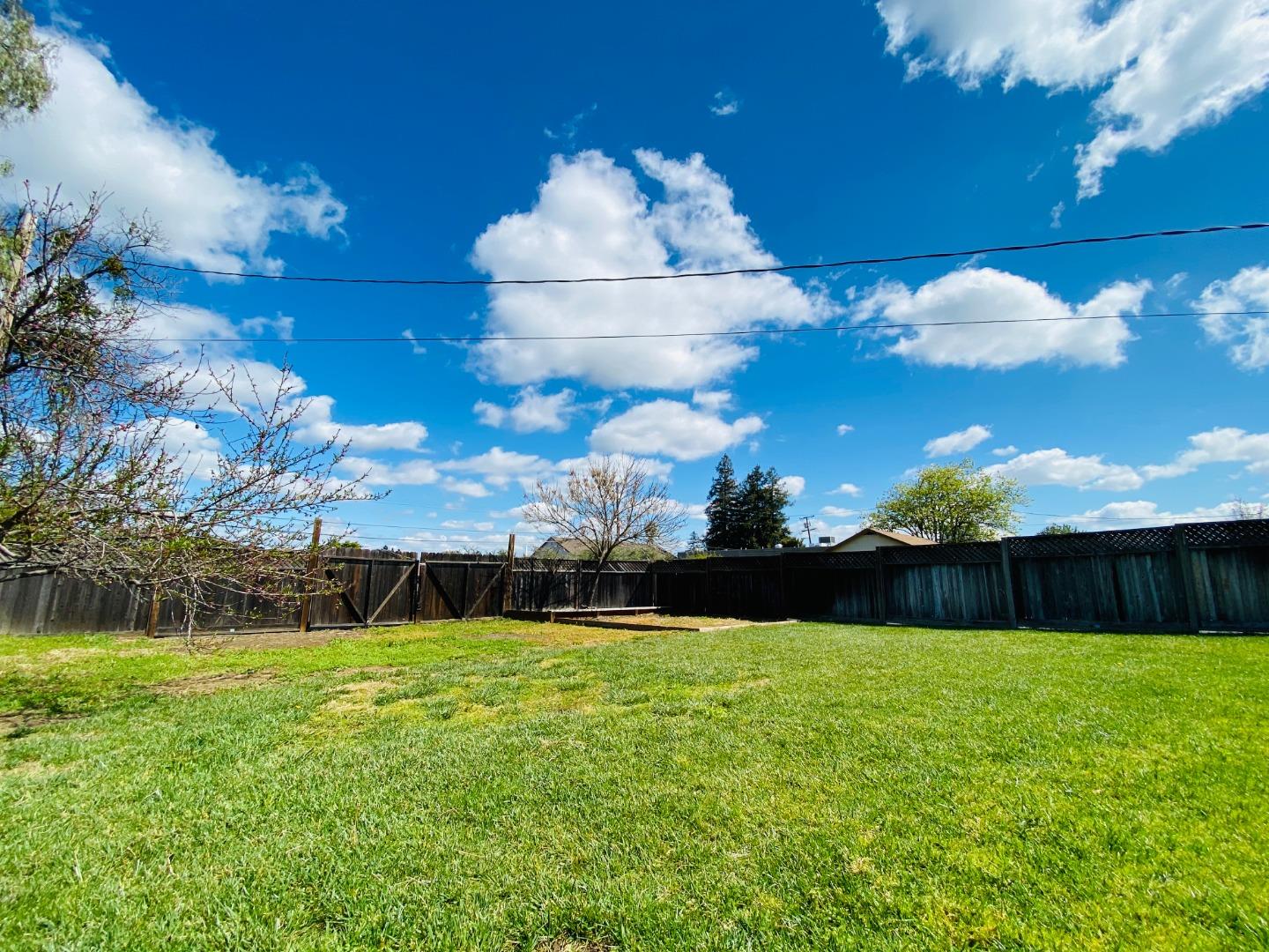 15107 Woodard Road San Jose, CA 95124 - Photo 16 of 20 a view of swimming pool is middle in the garden