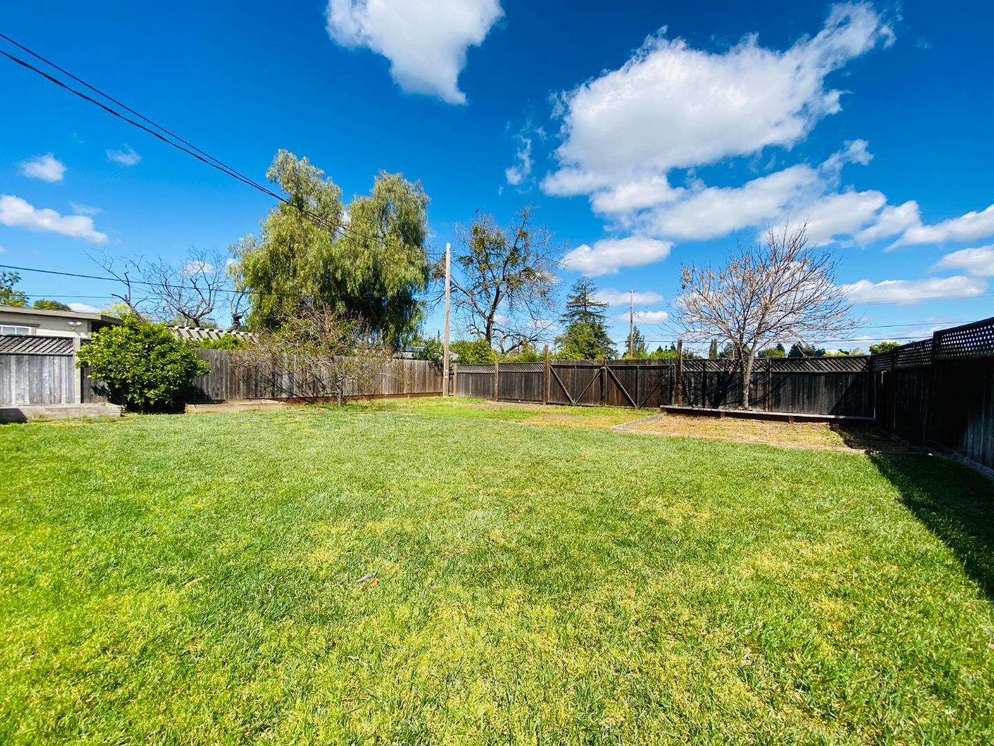 15107 Woodard Road San Jose, CA 95124 - Photo 17 of 20 a view of a yard