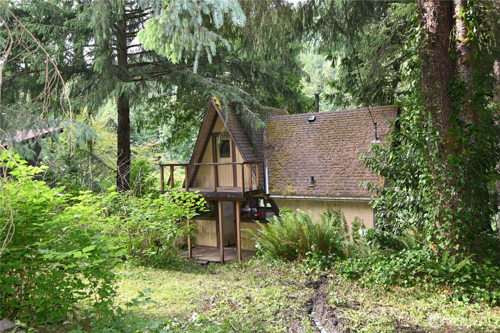 53009 South Riverside Road Gold Bar, WA 98251 - Photo 1 of 26 an aerial view of a house with a yard