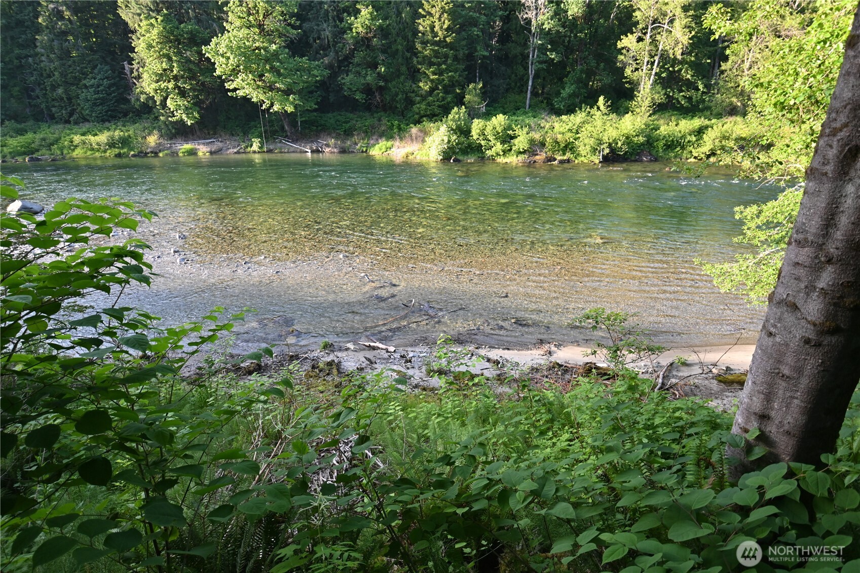 53009 South Riverside Road Gold Bar, WA 98251 - Photo 5 of 26 a view of a lake with a yard
