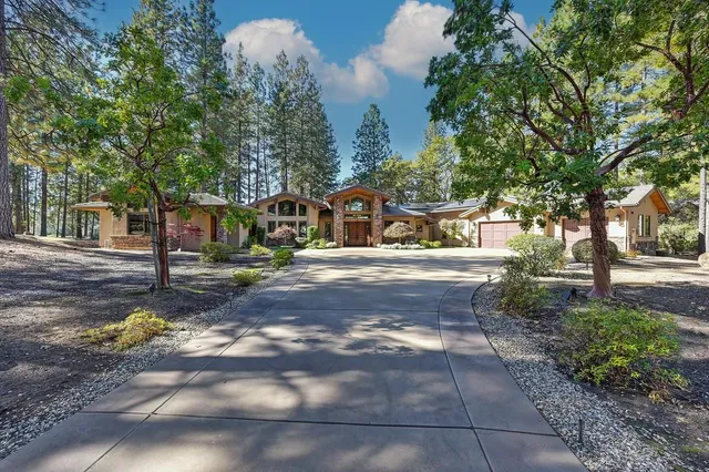 a view of yard with tree s