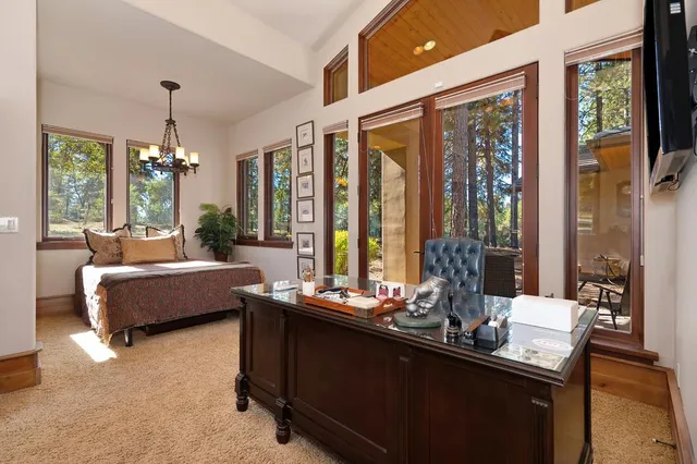 a patio with table and chairs and a large tree