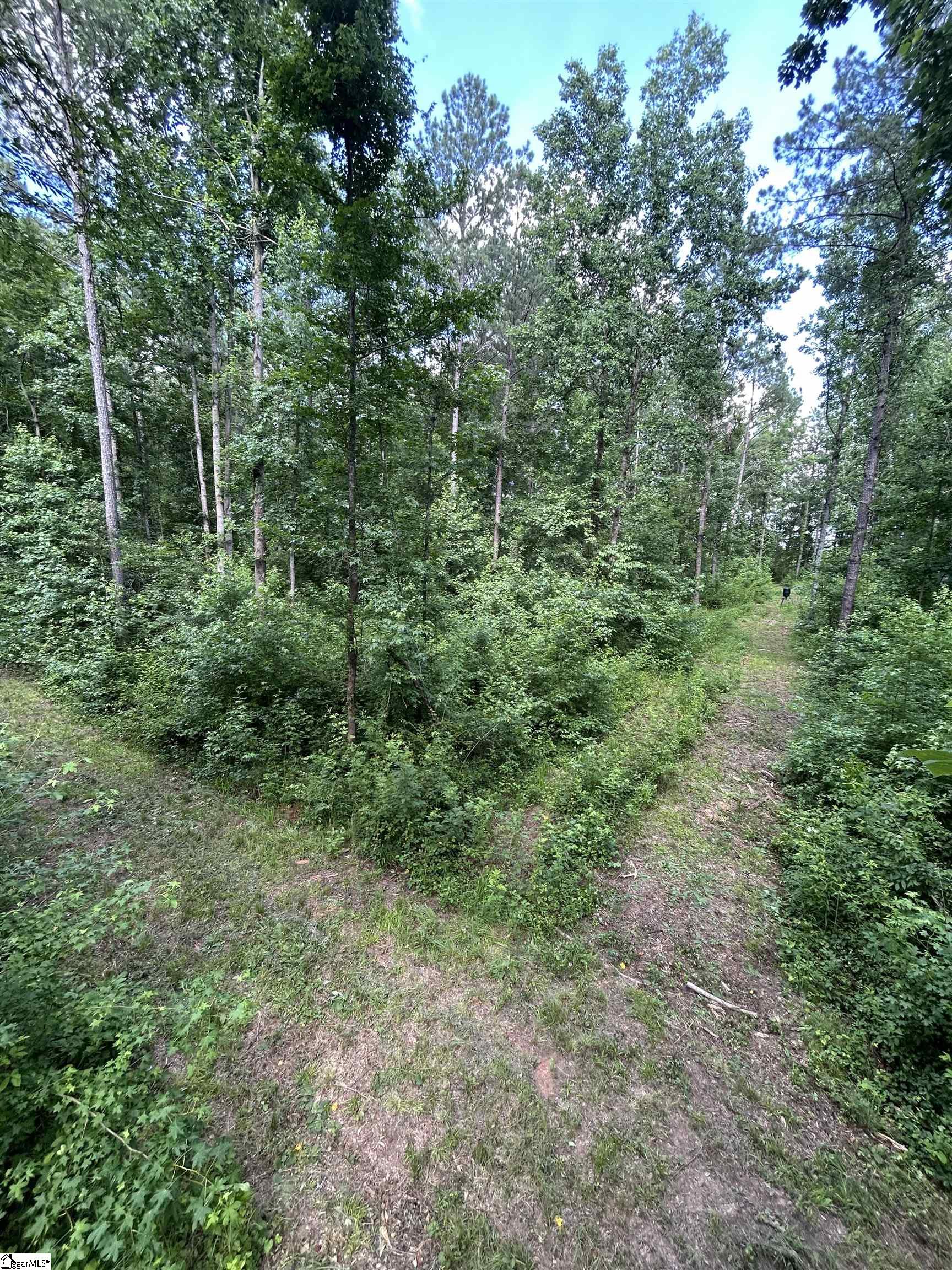 2318 State Rd S-36-342 Newberry, SC 29108 - Photo 16 of 16