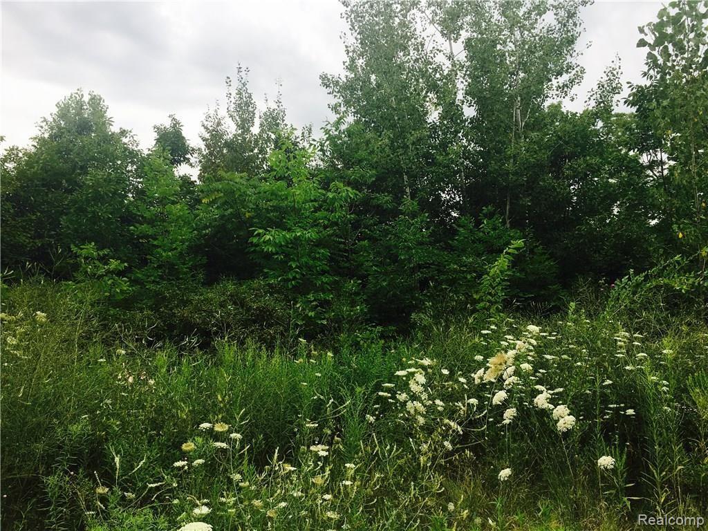 0 Warner Road Howell, MI 48855 - Photo 2 of 5