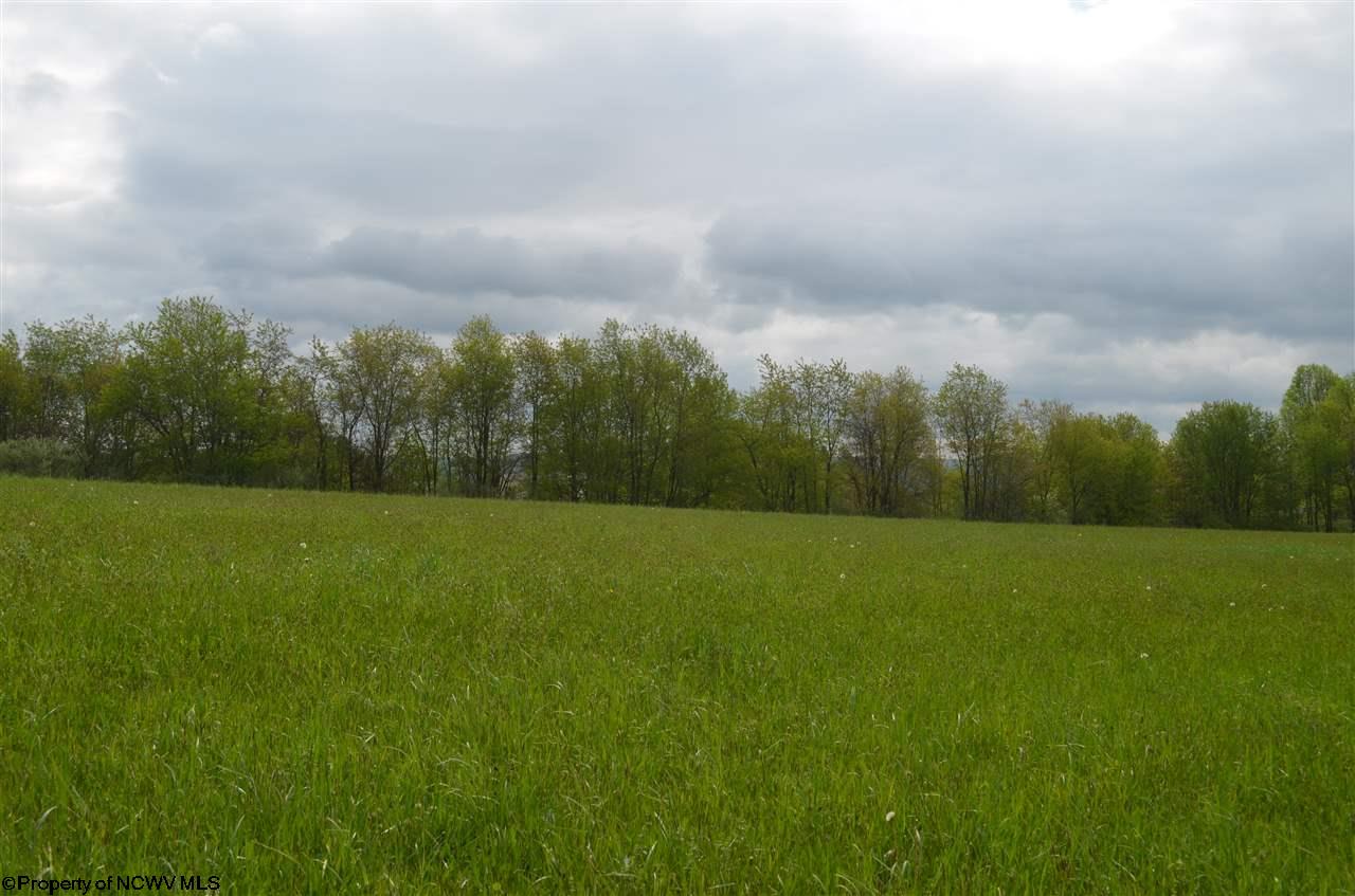 Tbd Kingwood Street Reedsville, WV 26547 - Photo 4 of 7 Gallery Image 4