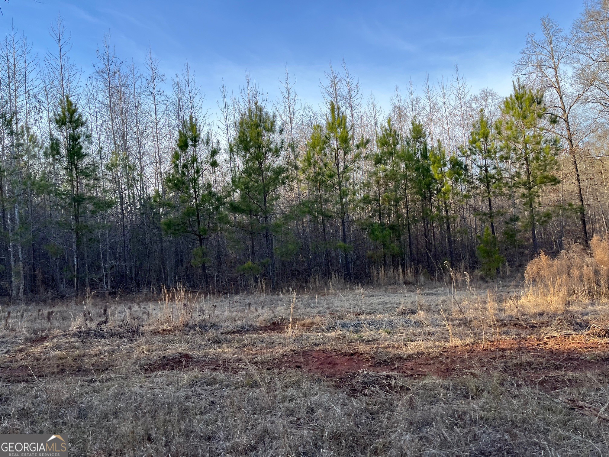 0 Ellis Church Road Haddock, GA 31033 - Photo 6 of 13