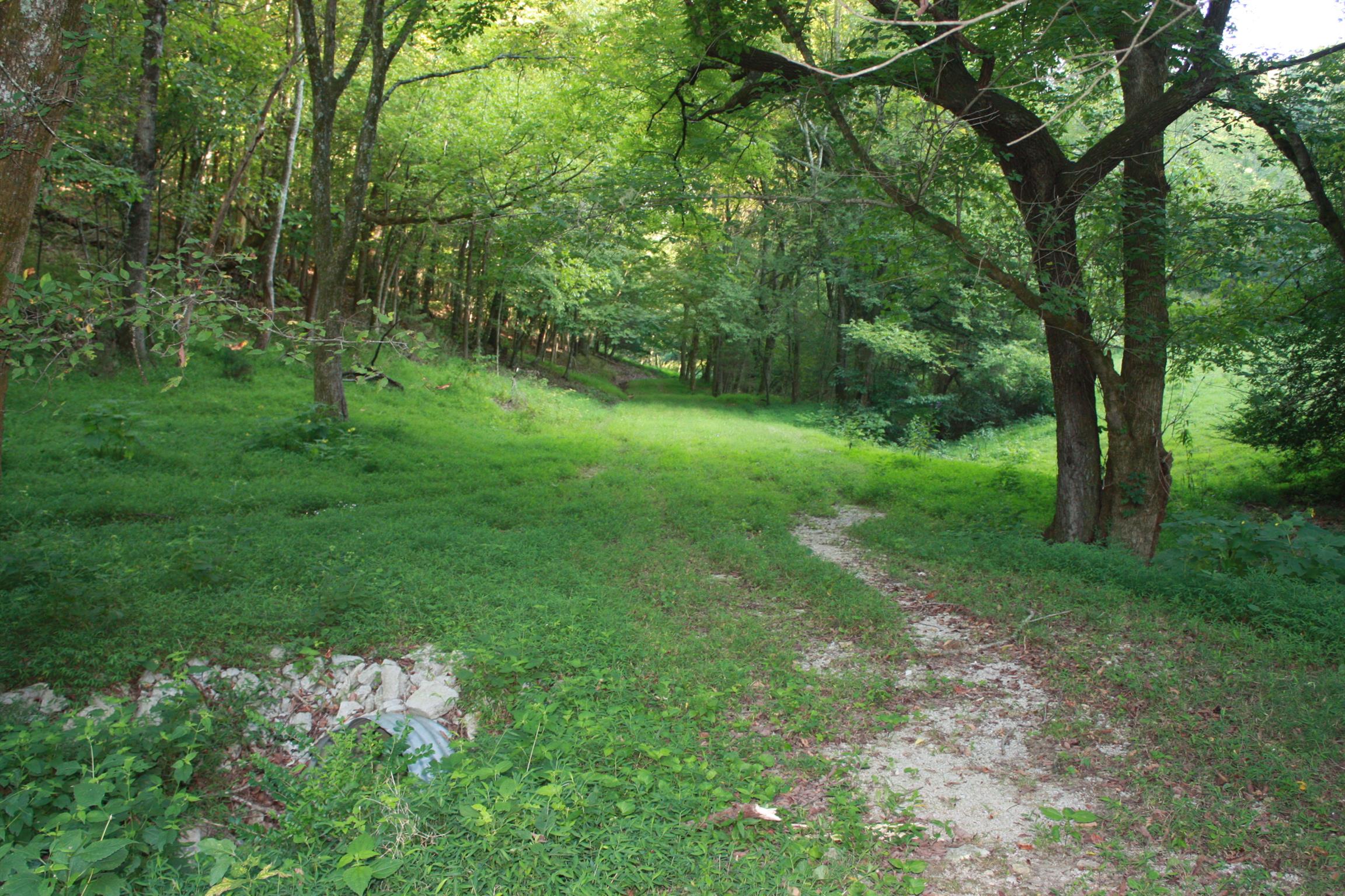 2140 Collier Road Cornersville, TN 37047 - Photo 12 of 30 Gallery Image 12