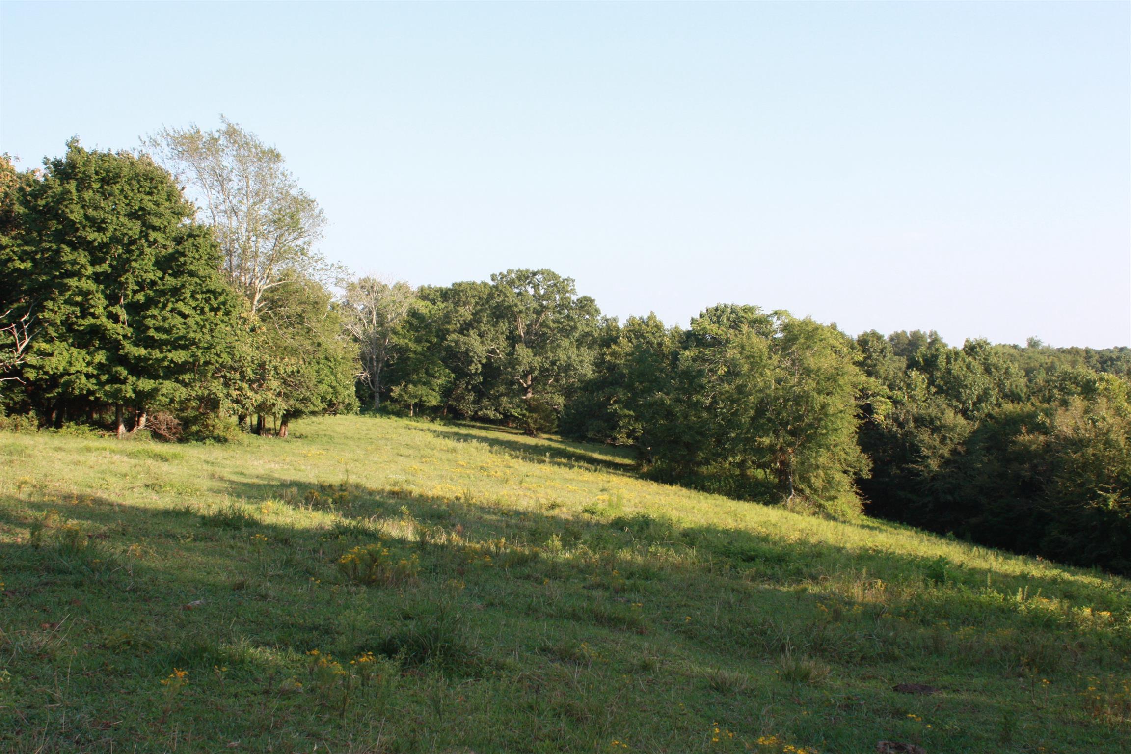 2140 Collier Road Cornersville, TN 37047 - Photo 14 of 30 Gallery Image 14