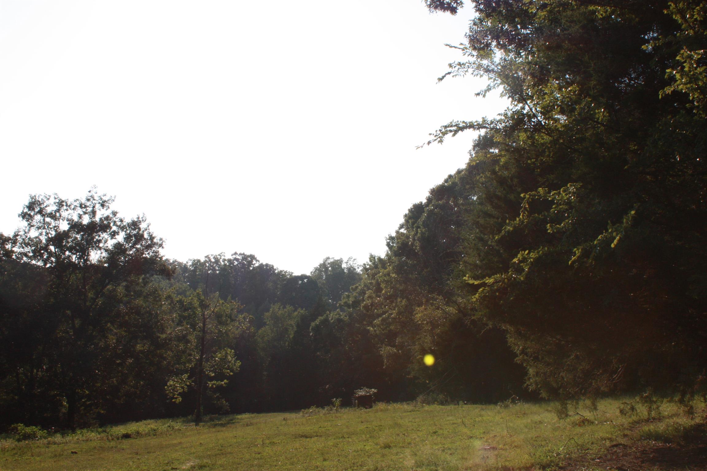 2140 Collier Road Cornersville, TN 37047 - Photo 16 of 30 Gallery Image 16