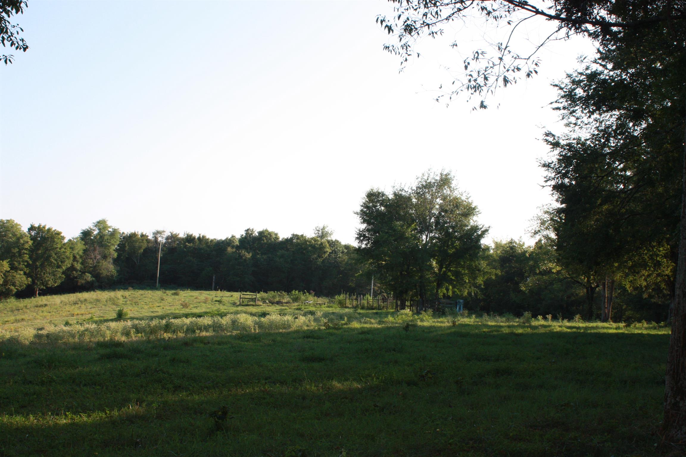 2140 Collier Road Cornersville, TN 37047 - Photo 17 of 30 Gallery Image 17
