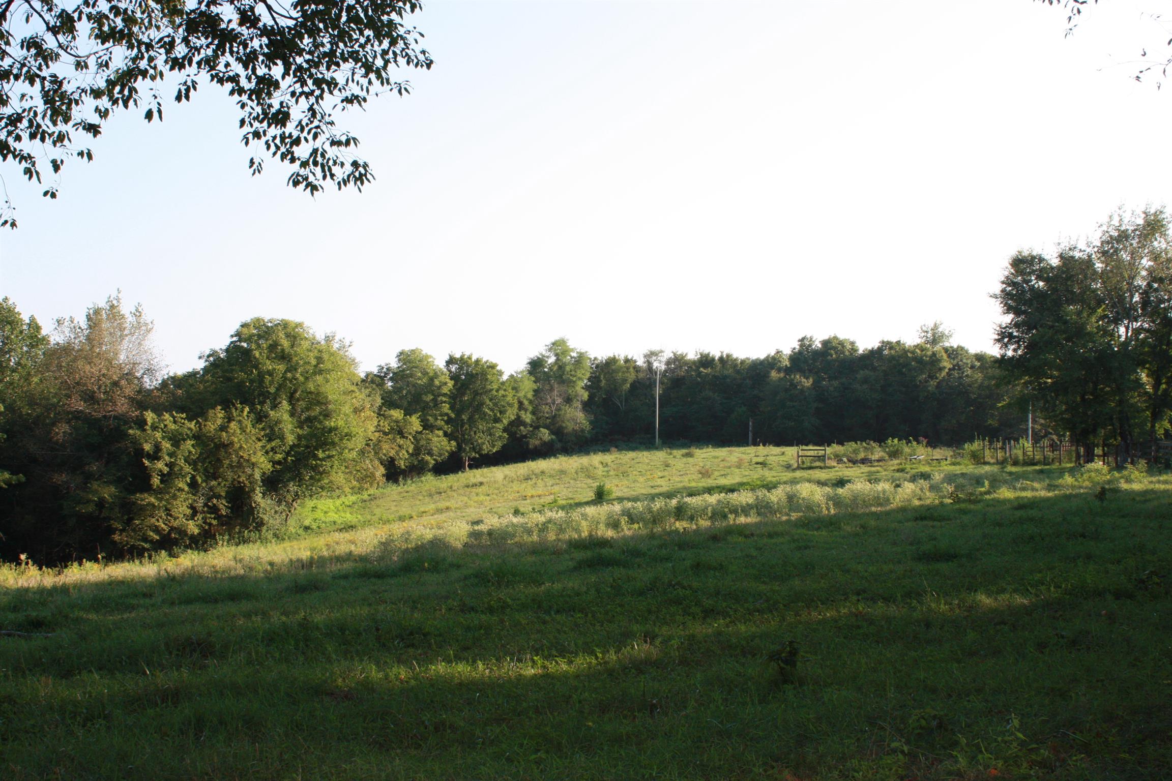 2140 Collier Road Cornersville, TN 37047 - Photo 18 of 30 Gallery Image 18