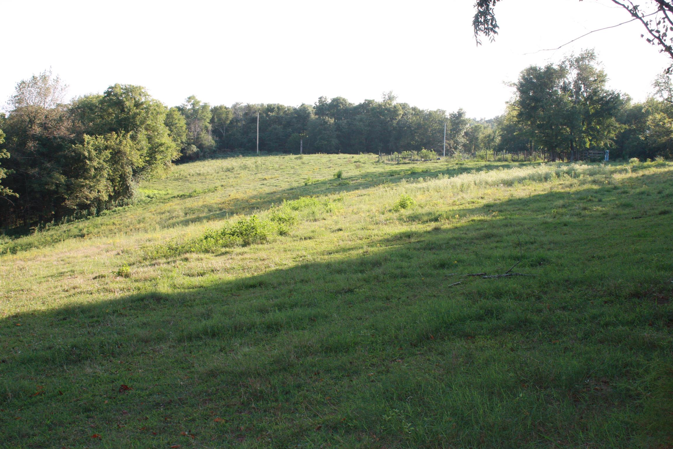 2140 Collier Road Cornersville, TN 37047 - Photo 20 of 30 Gallery Image 20