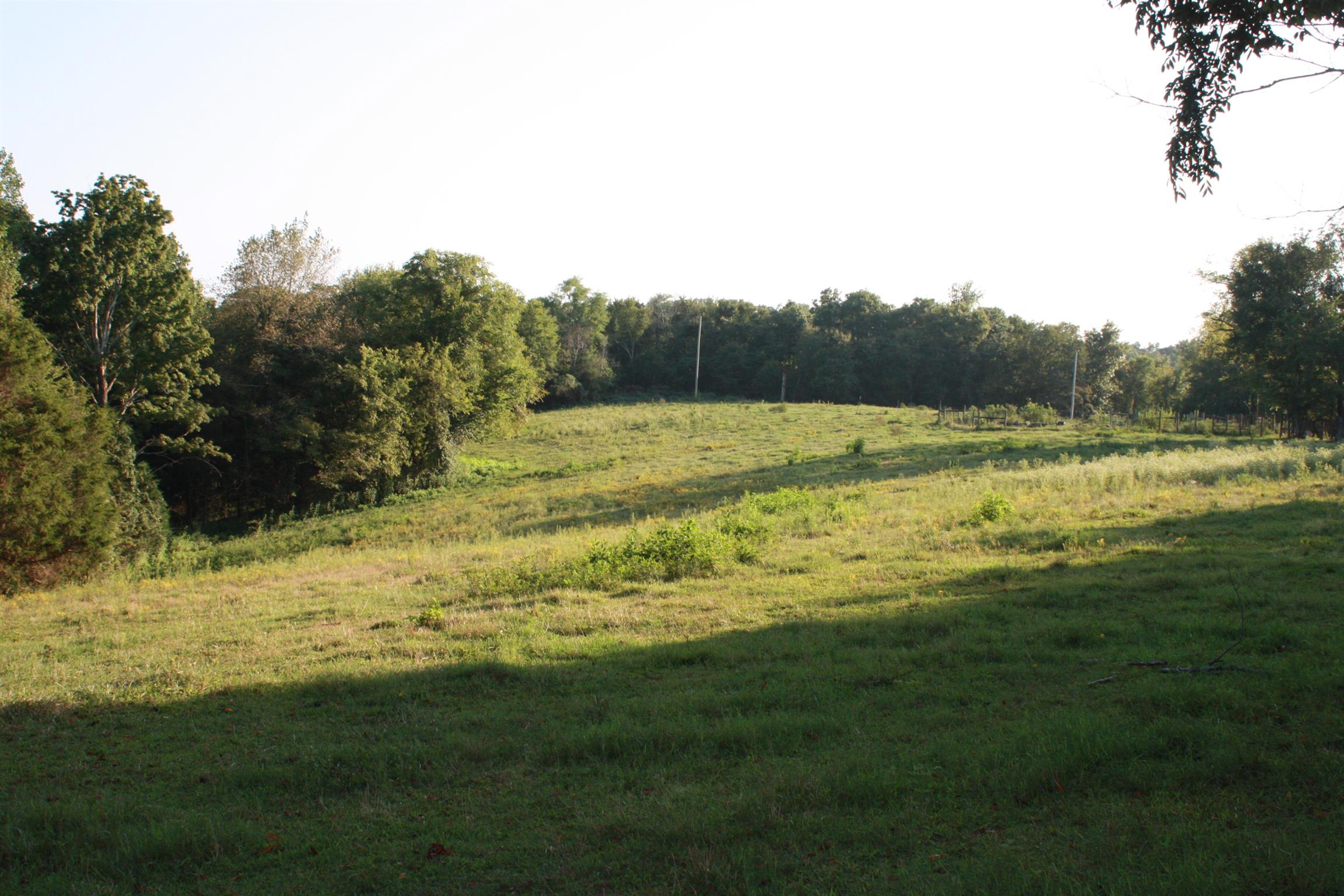 2140 Collier Road Cornersville, TN 37047 - Photo 21 of 30 Gallery Image 21
