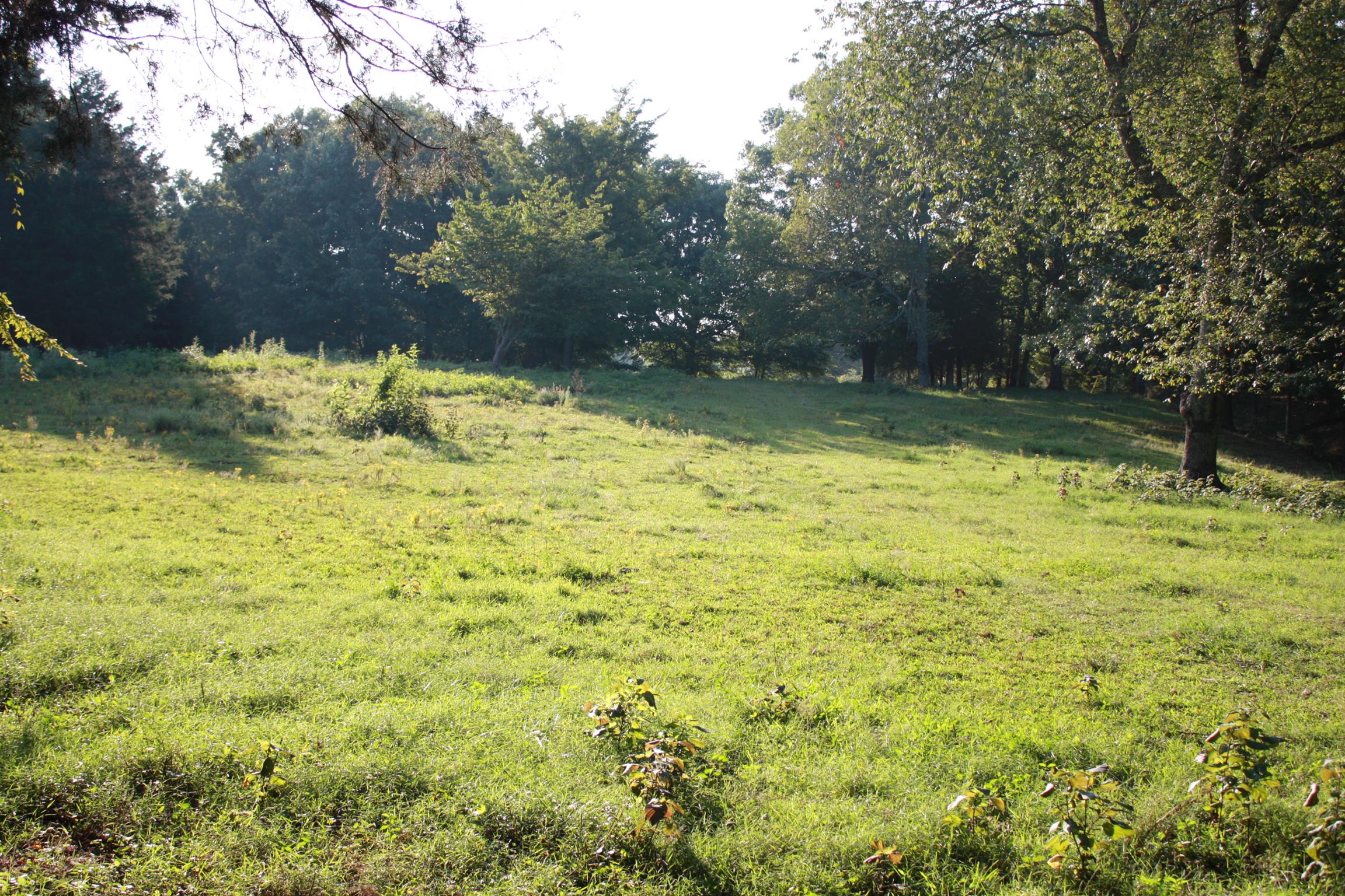 2140 Collier Road Cornersville, TN 37047 - Photo 22 of 30 Gallery Image 22