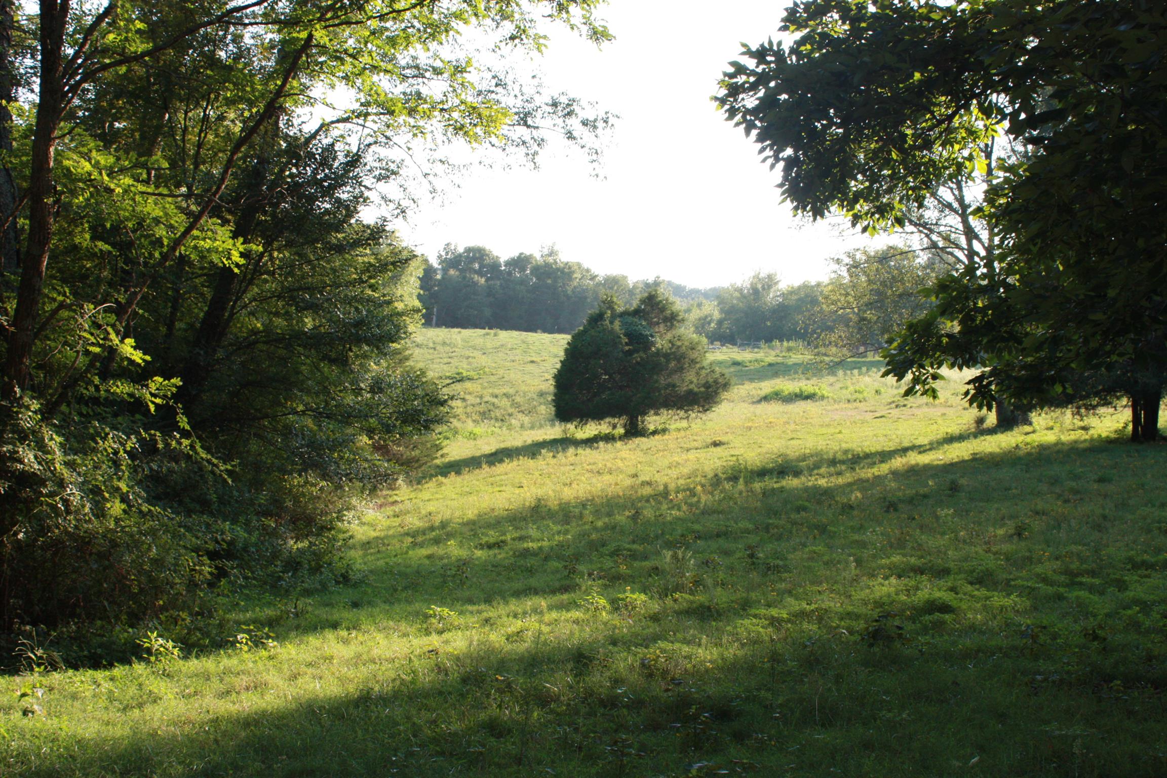 2140 Collier Road Cornersville, TN 37047 - Photo 23 of 30 Gallery Image 23