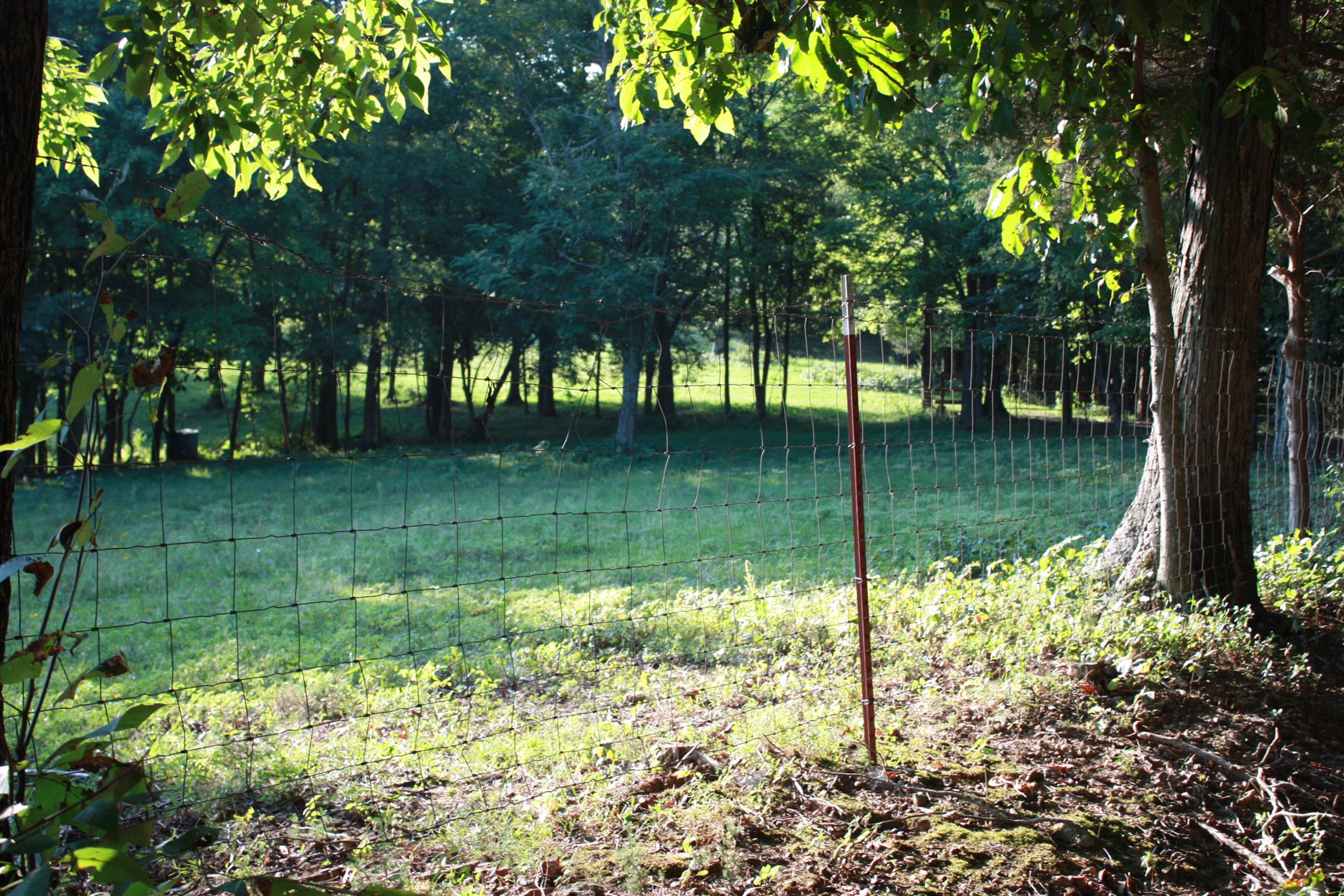 2140 Collier Road Cornersville, TN 37047 - Photo 27 of 30 Gallery Image 27