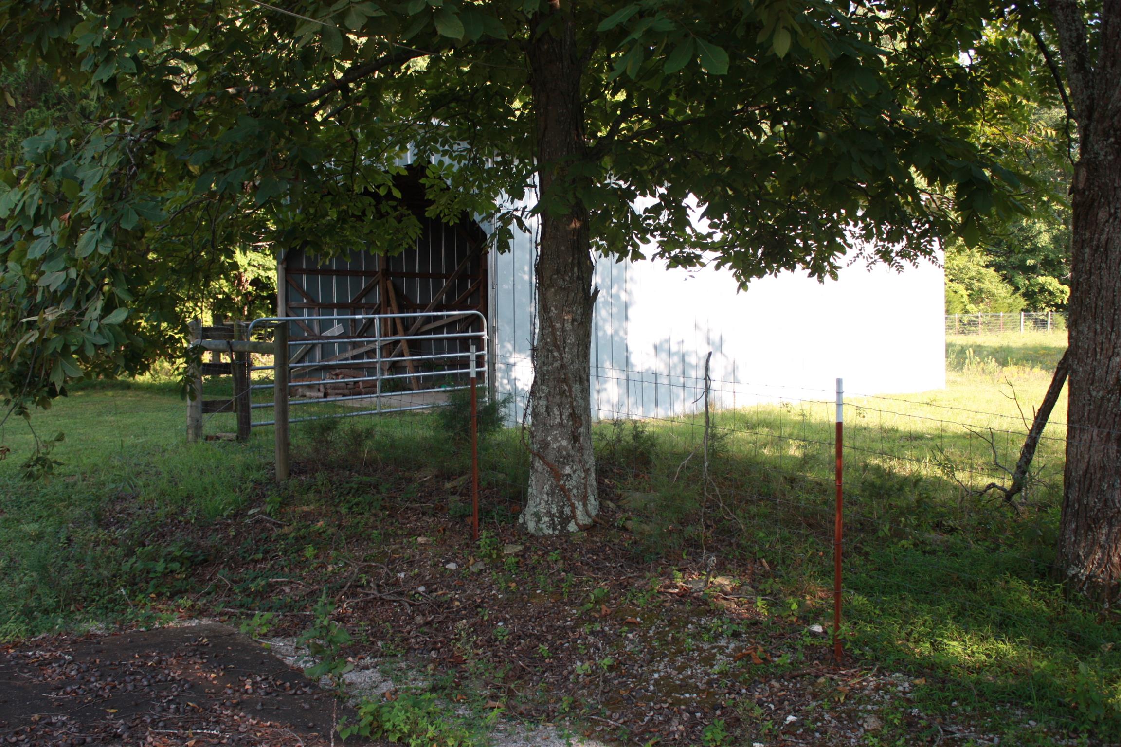 2140 Collier Road Cornersville, TN 37047 - Photo 4 of 30 Gallery Image 4