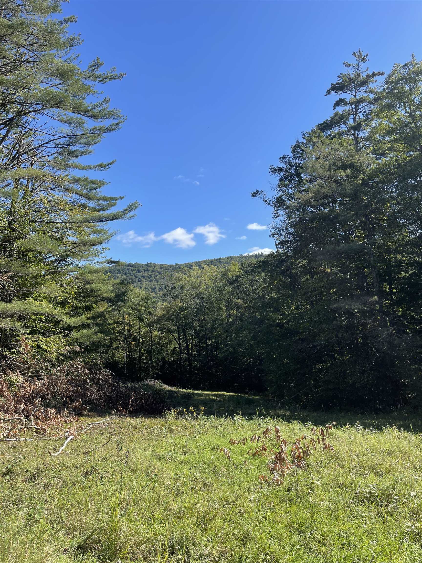5 Lahar Road Marlboro, VT 05351 - Photo 12 of 14