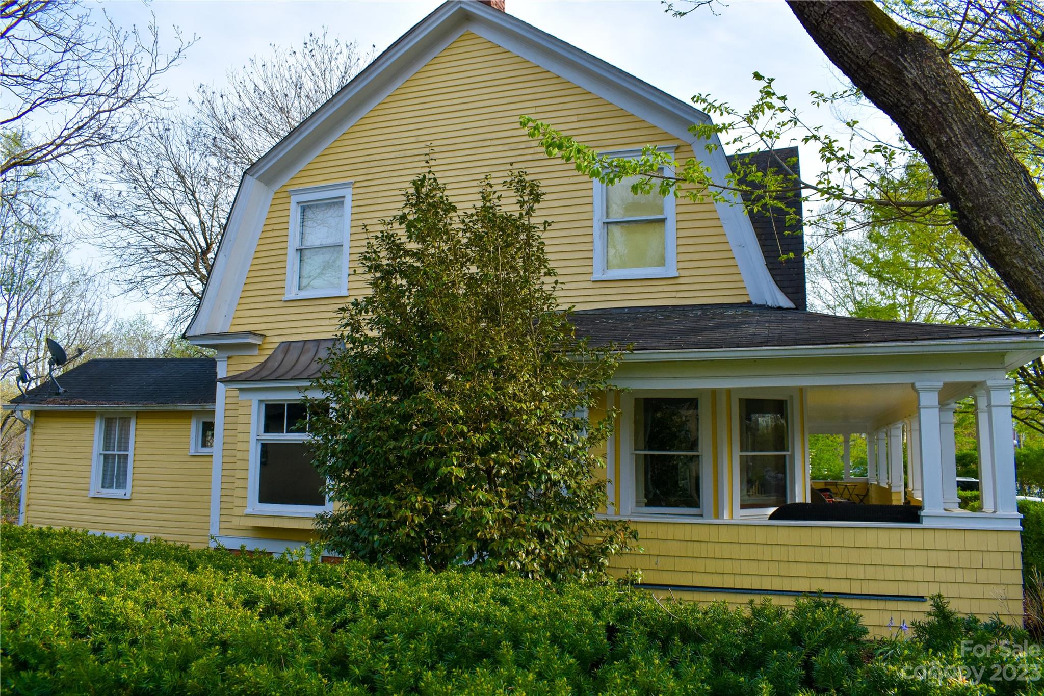 506 Main Street Southwest Lenoir, NC 28645 - Photo 3 of 29 a view of a house with a small yard plants and large tree