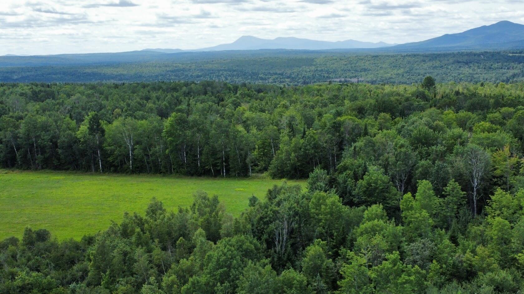 Lot 1 Townline Road Merrill, ME 04780 - Photo 7 of 21 dji_fly_20240722_130842_350_172166813316