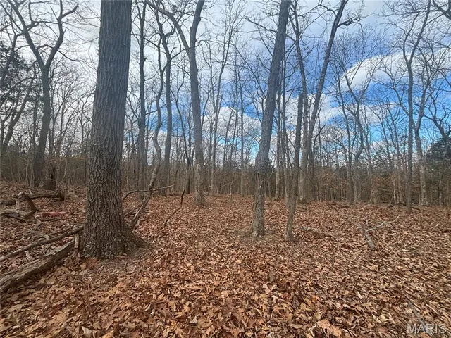 $59,000 | O Holtwick Trail, Robertsville, MO 63072