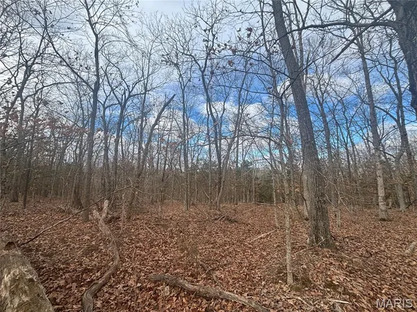 $59,000 | O Holtwick Trail, Robertsville, MO 63072