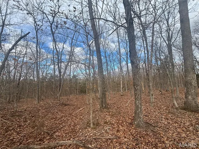 $59,000 | O Holtwick Trail, Robertsville, MO 63072