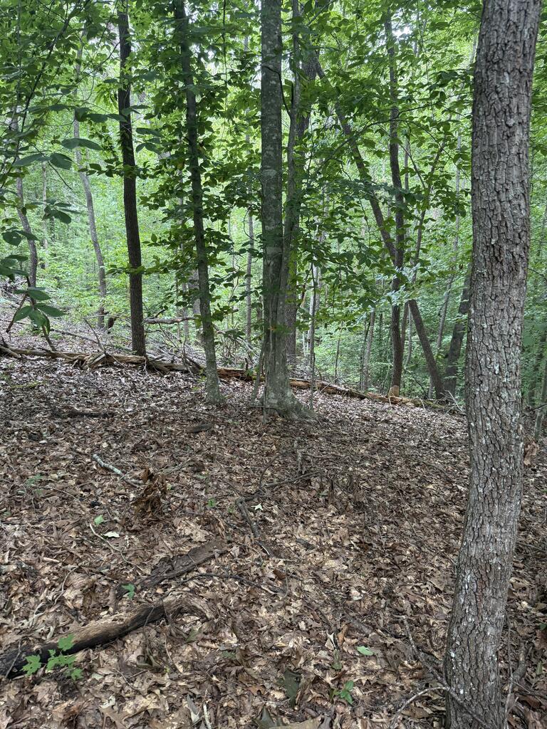 0 Henson Road Hayesville, NC 28904 - Photo 26 of 28 Gallery Image 26