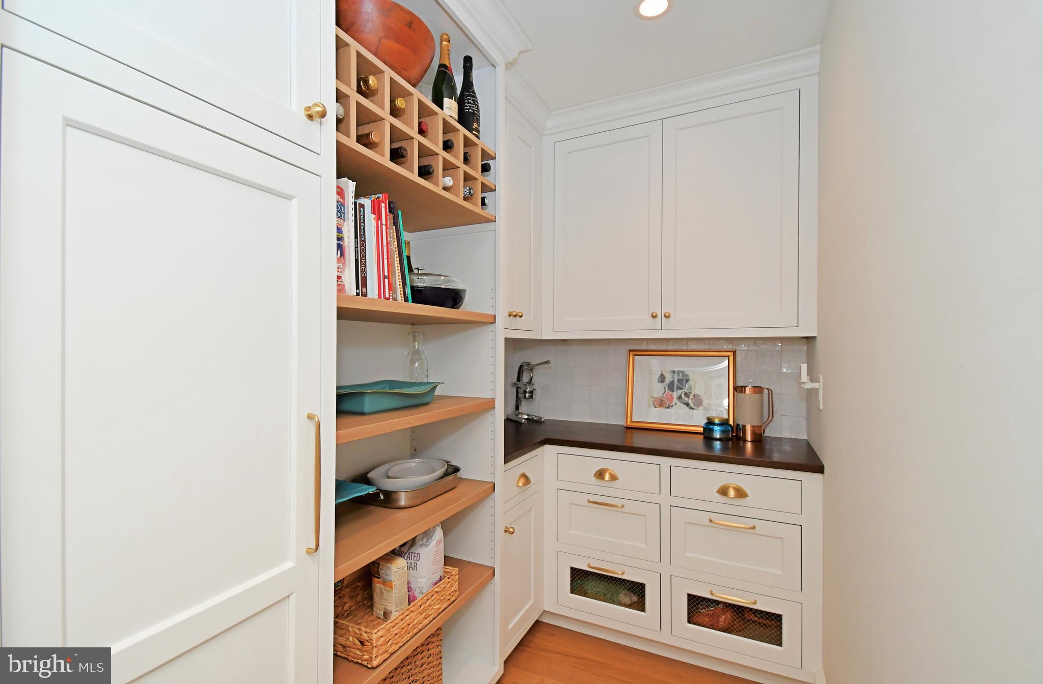 19 Croton Road Wayne, PA 19087 - Photo 14 of 64 Organized Pantry