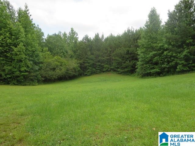 830 Lambert Road, Unit 13 ACRES Cragford, AL 36255 - Photo 4 of 15