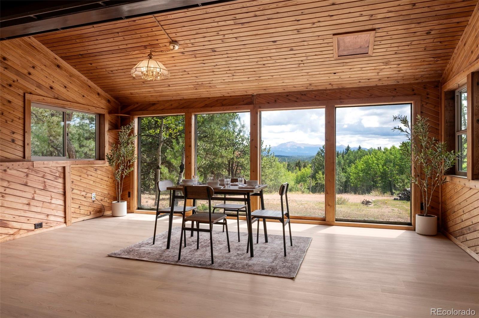 4710 Wildhorn Road Florissant, CO 80816 - Photo 10 of 41