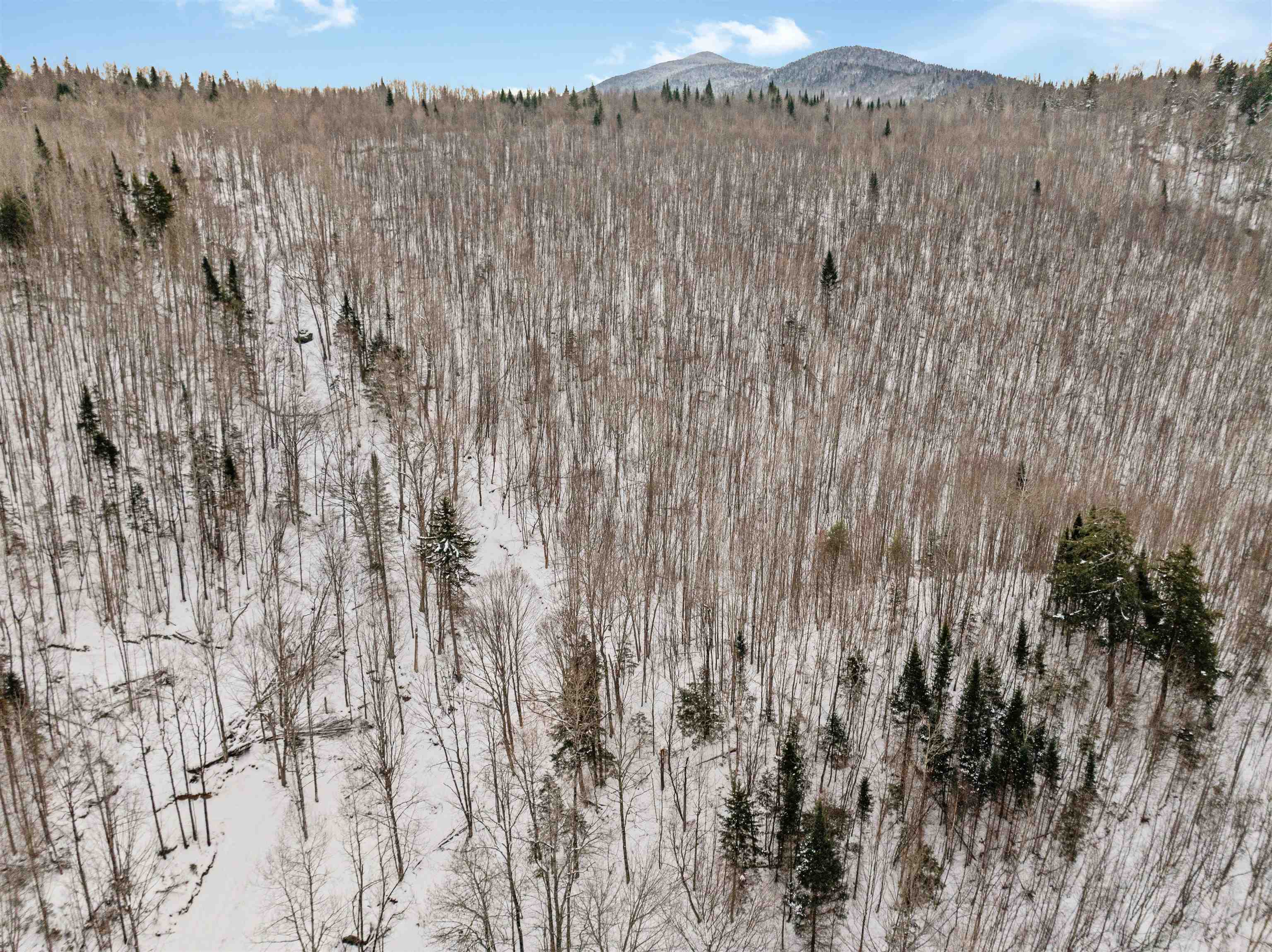 24 Marsh Road Columbia, NH 03590 - Photo 26 of 33