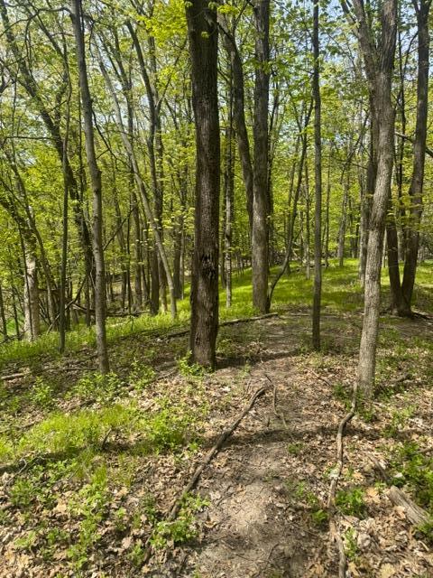 Tbd Maple View Court Excelsior, MN 55331 - Photo 4 of 5