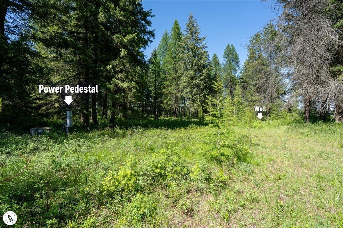 4668 Williams Valley Road Clayton, WA 99110 - Photo 32 of 44