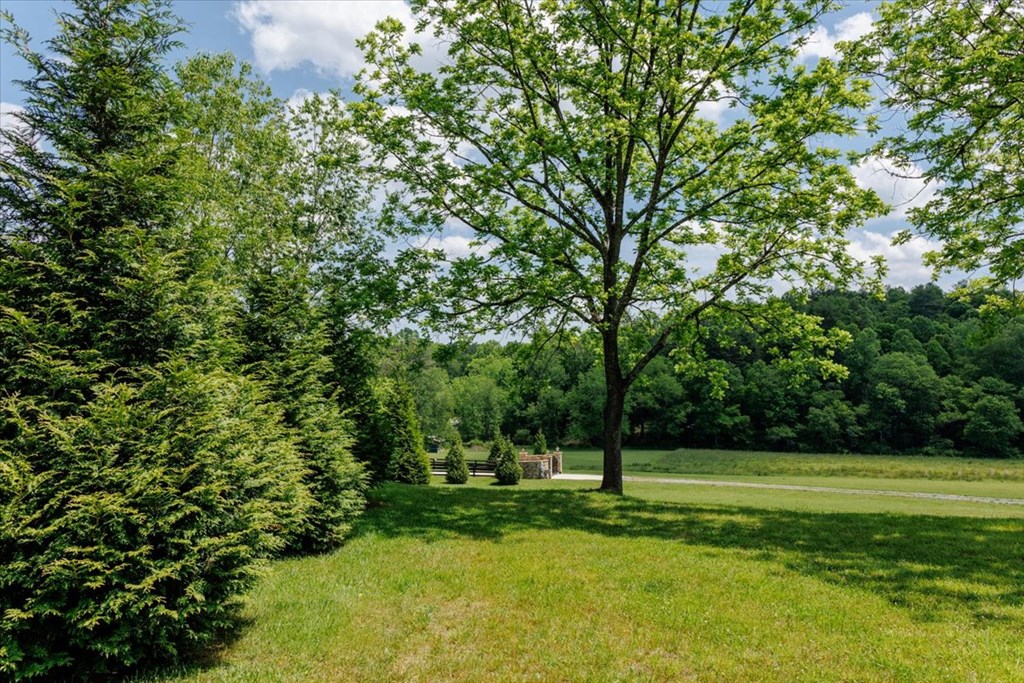 5260 Hardscrabble Road Mineral Bluff, GA 30559 - Photo 25 of 52