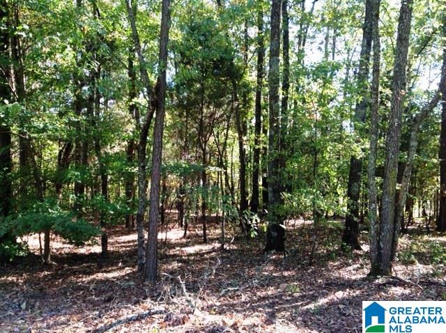 0 Whispering Pines Road, Unit 1 AMD 2 Oxford, AL 36203 - Photo 11 of 30