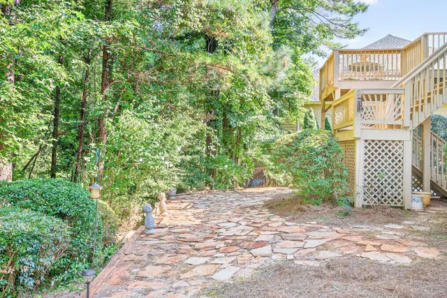 a view of a forest with trees in the background