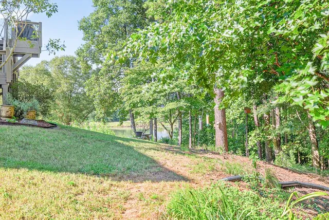 a view of a trees with a yard