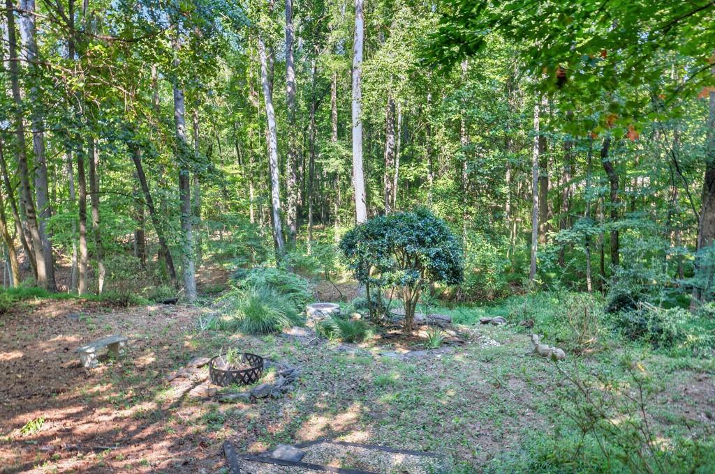994 Fairview Club Circle Dacula, GA 30019 - Photo 37 of 57 a view of a forest with trees in the background