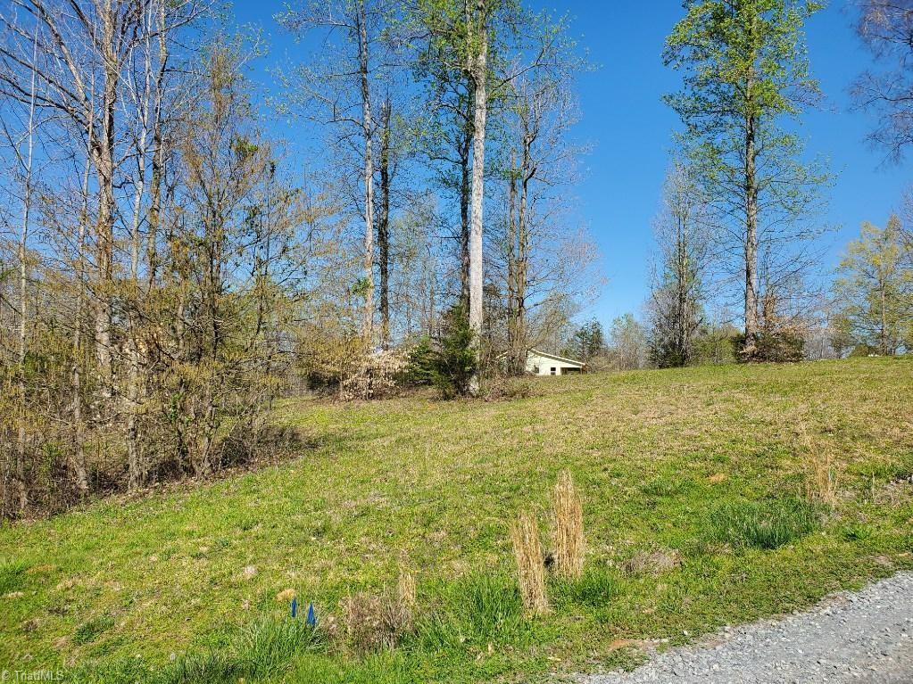 0 Rising Sun Way Franklinville, NC 27248 - Photo 2 of 3 Gallery Image 2
