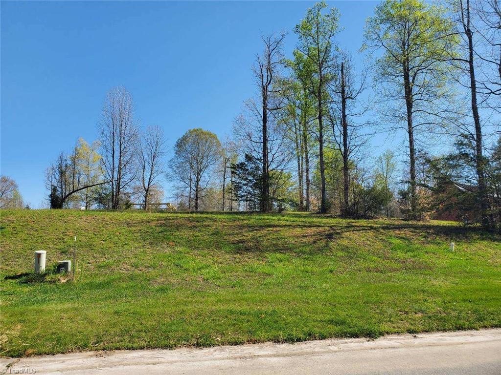 0 Rising Sun Way Franklinville, NC 27248 - Photo 3 of 3 Gallery Image 3