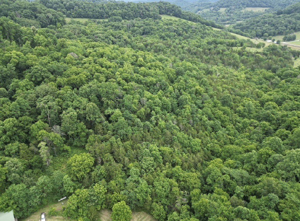 98 Hackett Valley Road Hickman, TN 38567 - Photo 40 of 41