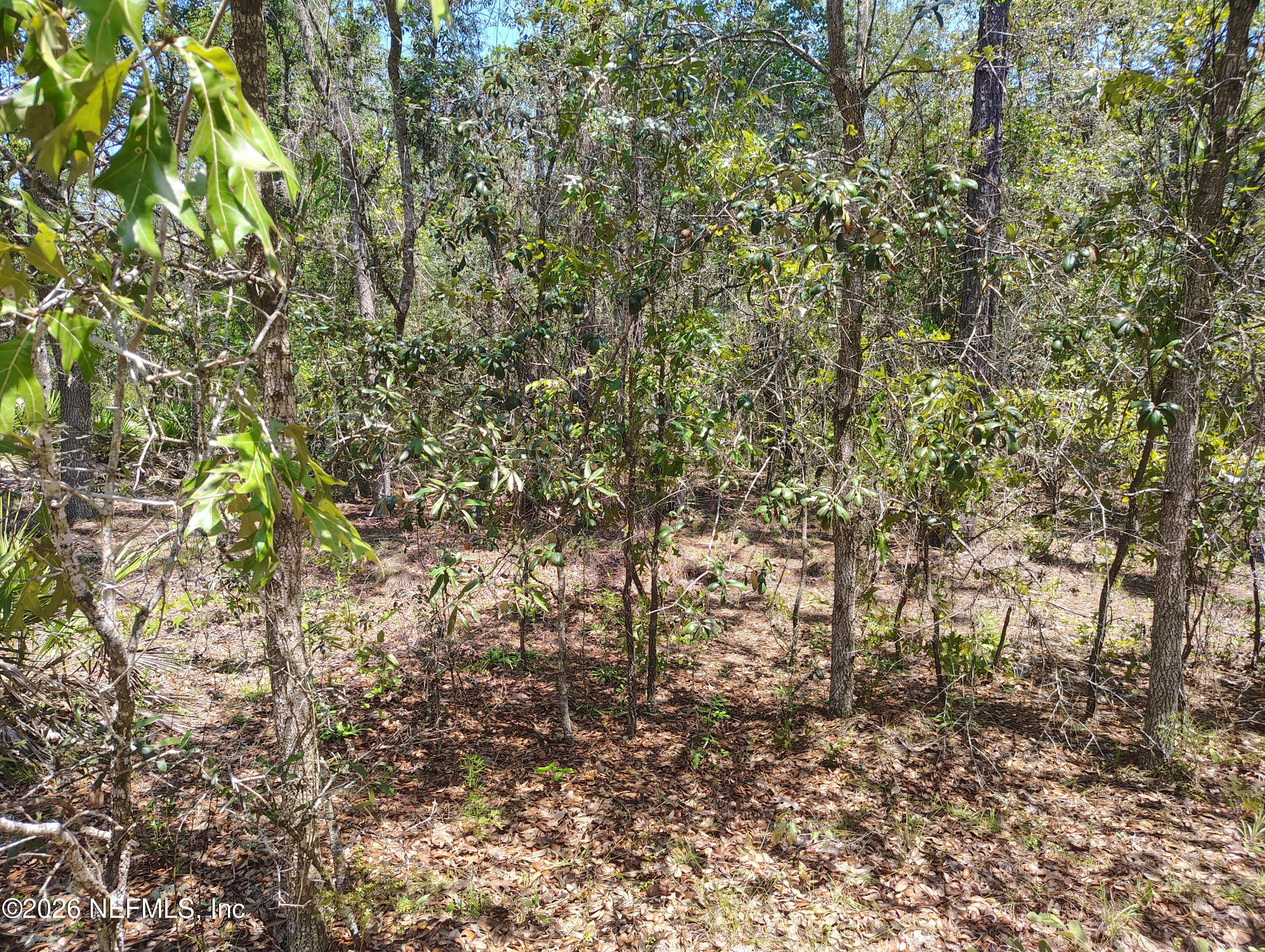 Tbd Sumac Street Interlachen, FL 32148 - Photo 1 of 1 Front View