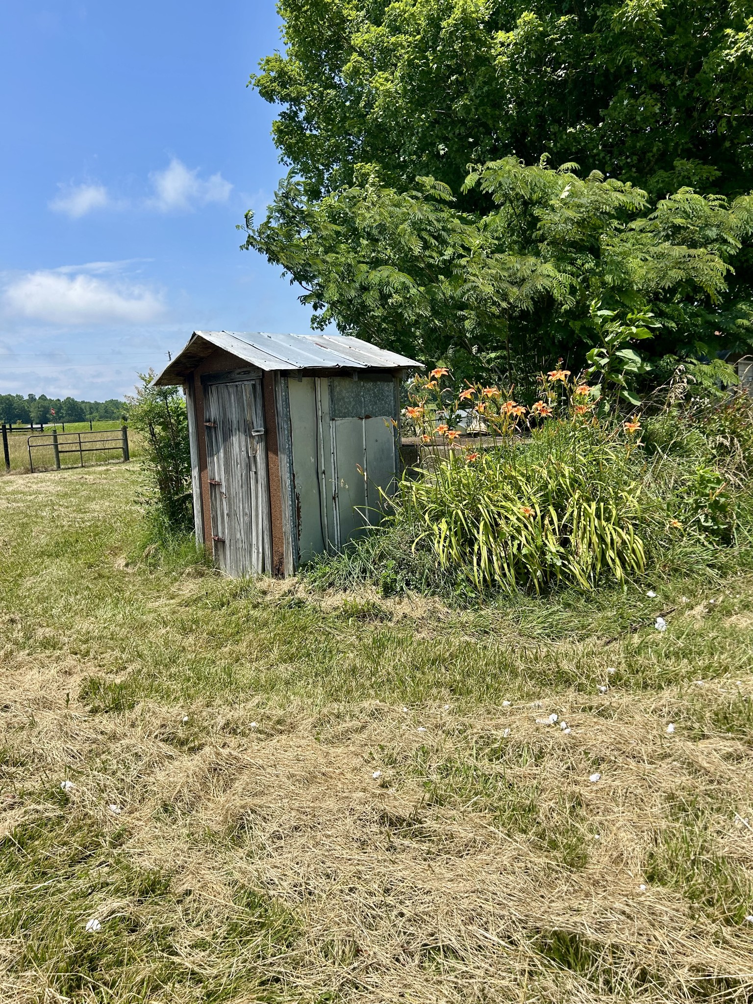 168 Napier Road Lawrenceburg, TN 38464 - Photo 16 of 20