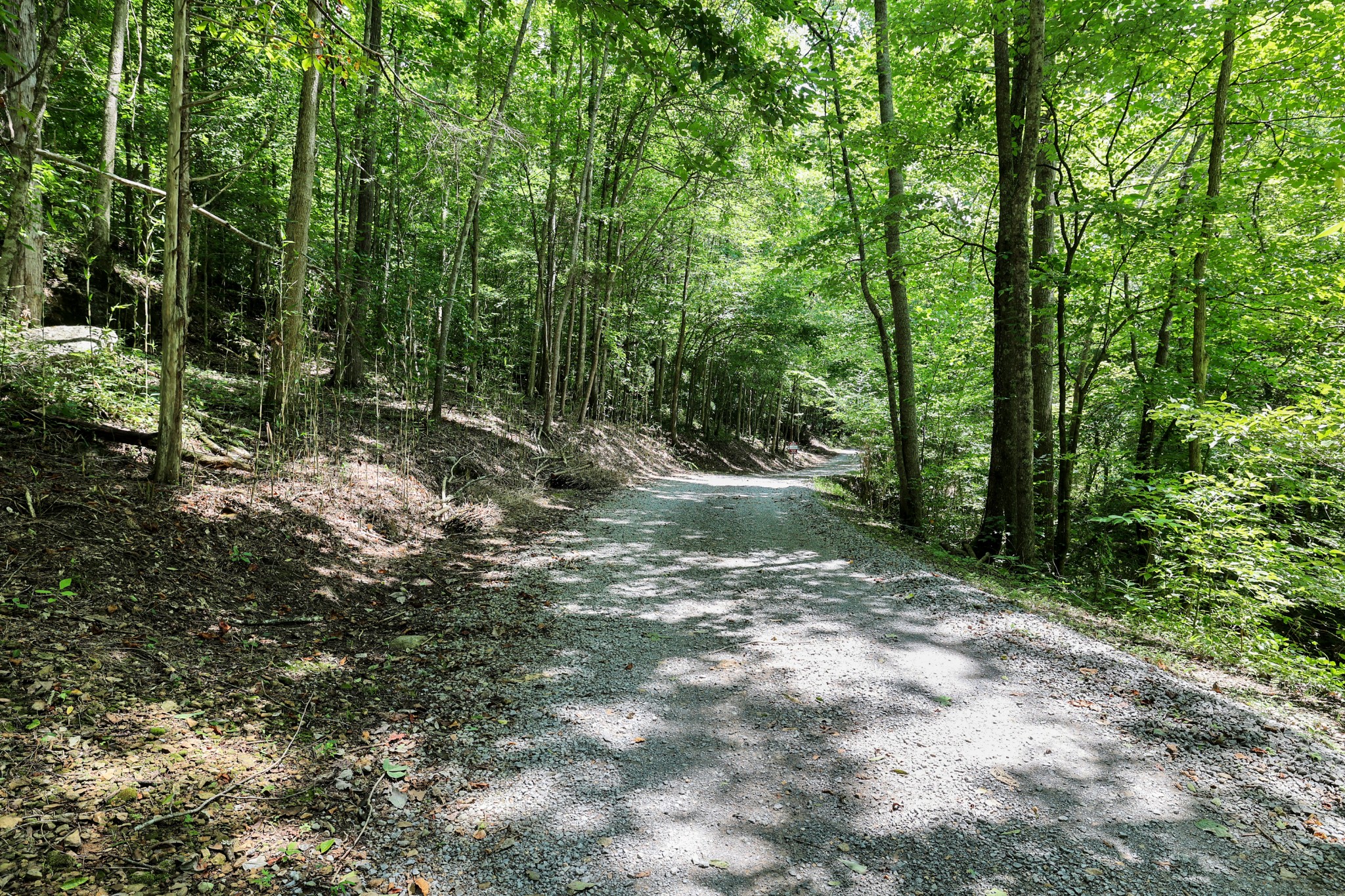 0 John Rains Road Woodbury, TN 37190 - Photo 11 of 51 Gallery Image 11